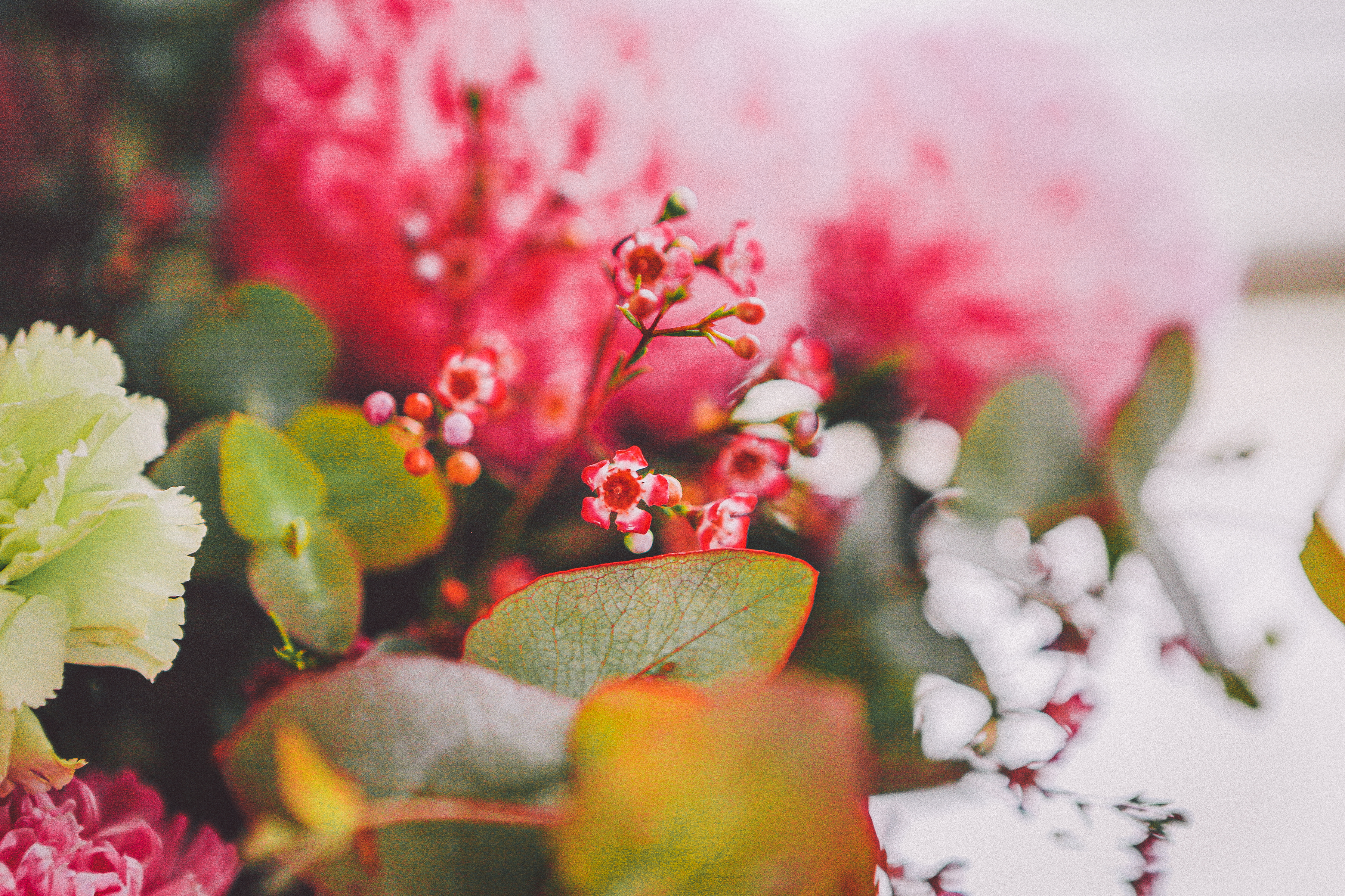 The Offering Grace
