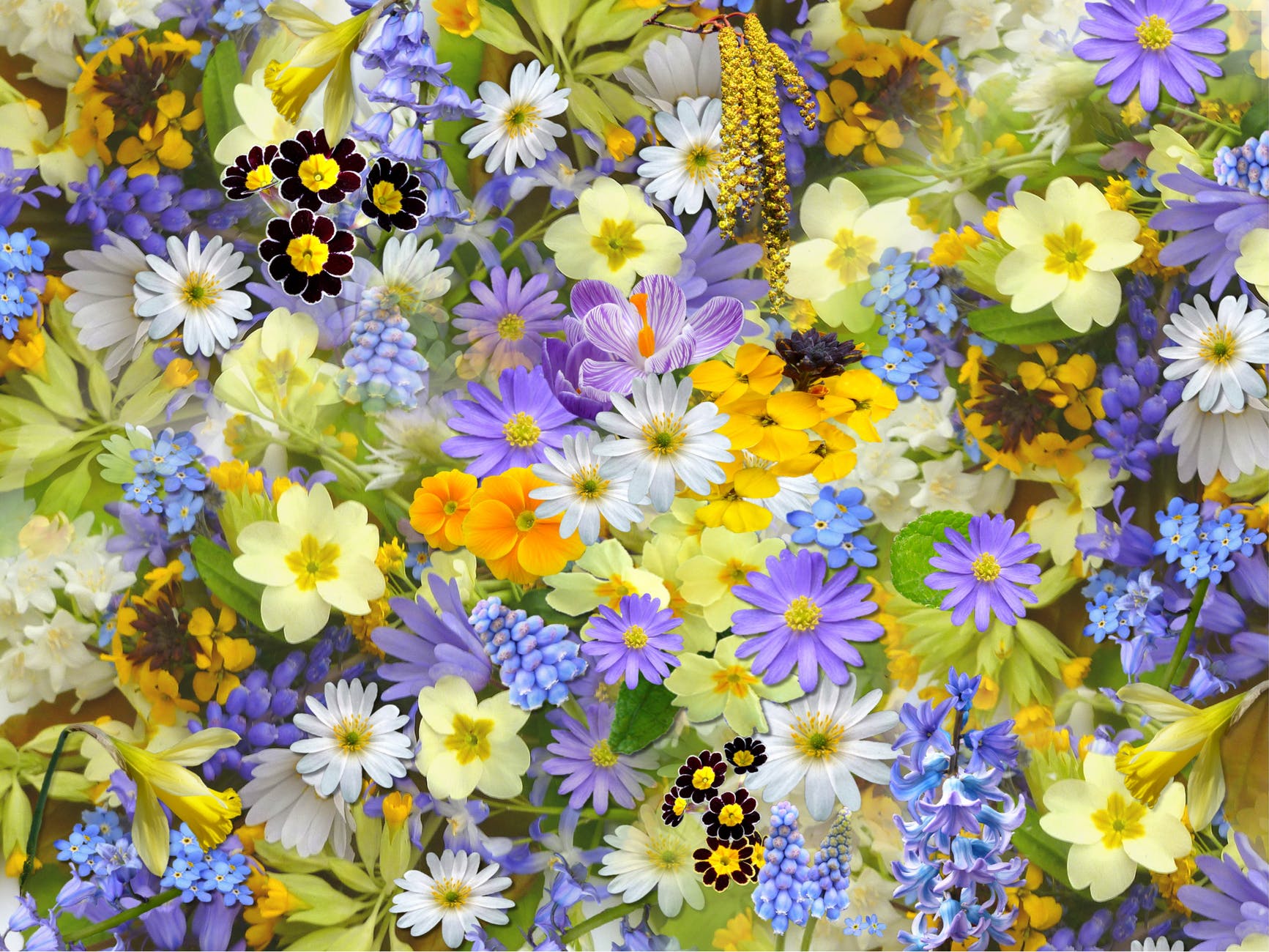 Poem of Light for May