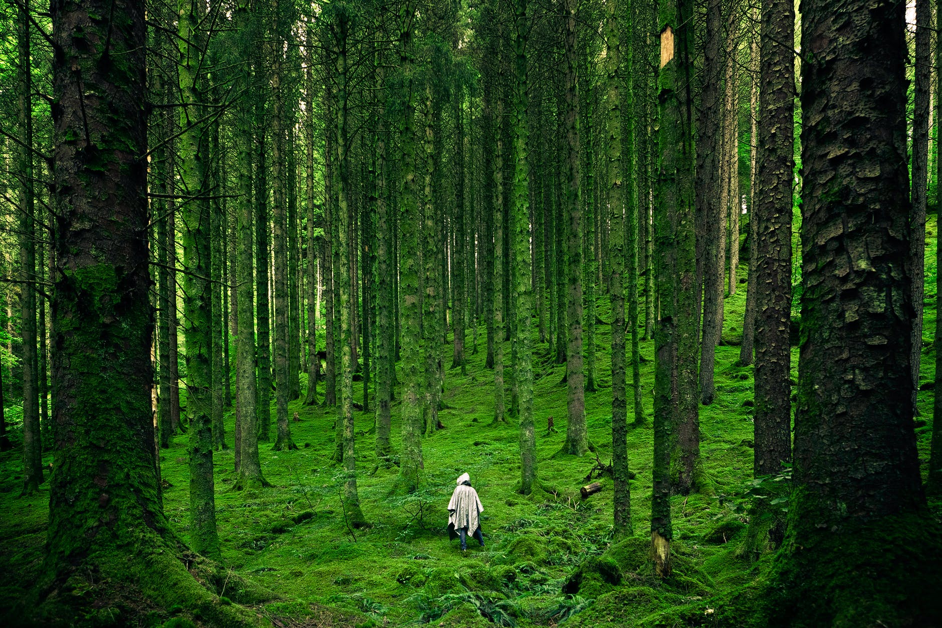 The Uncomfortable Truths About Your State of Mind