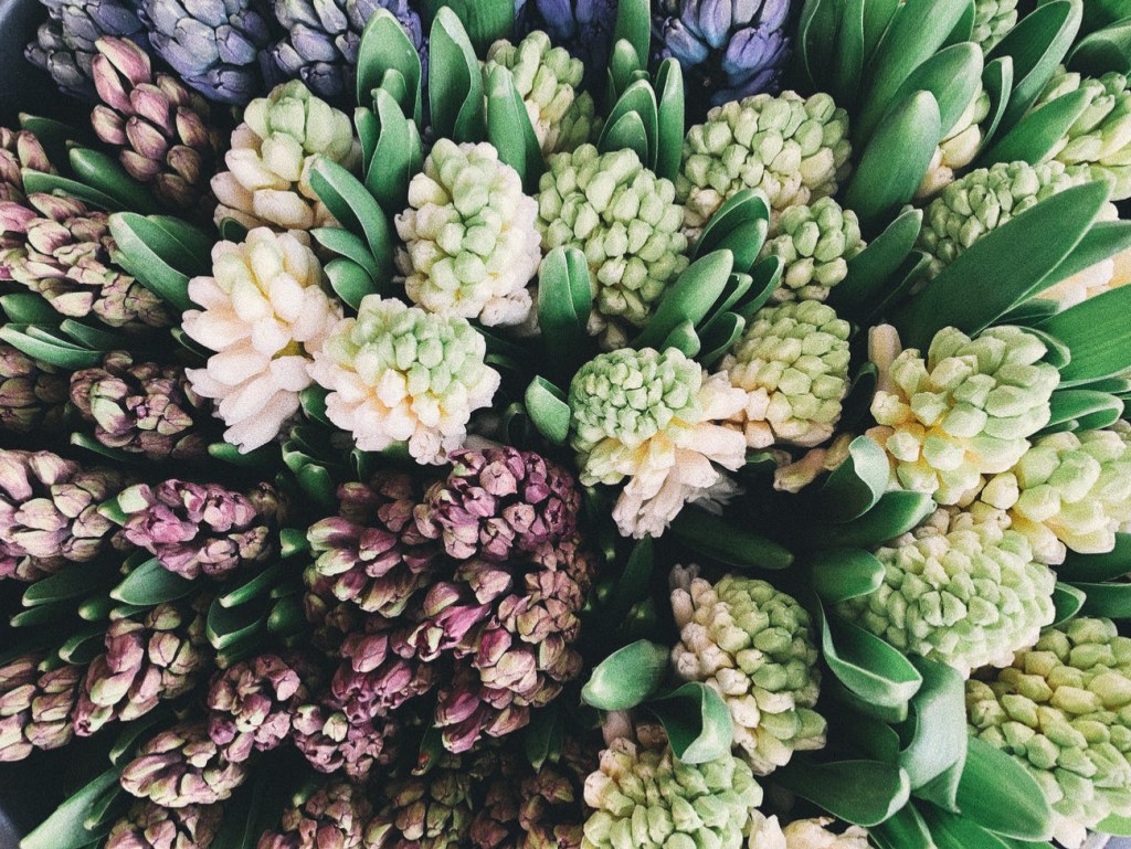 What controls you, owns you!