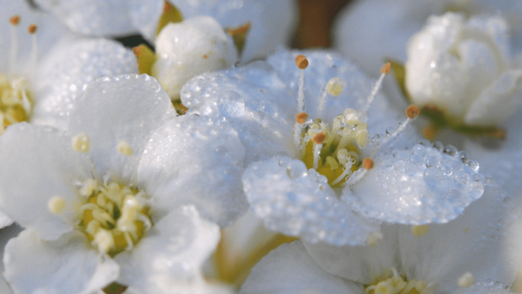 Embracing The Living Goddess Code: A Cosmic Journey into Love and&nbsp;Light