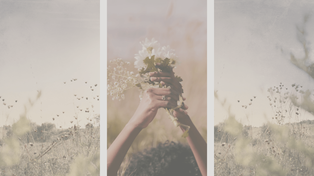 Poem Of Light For November