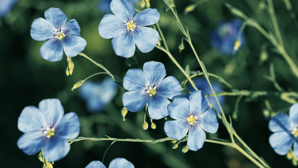 Archetype Alchemy for the&nbsp;Teacher