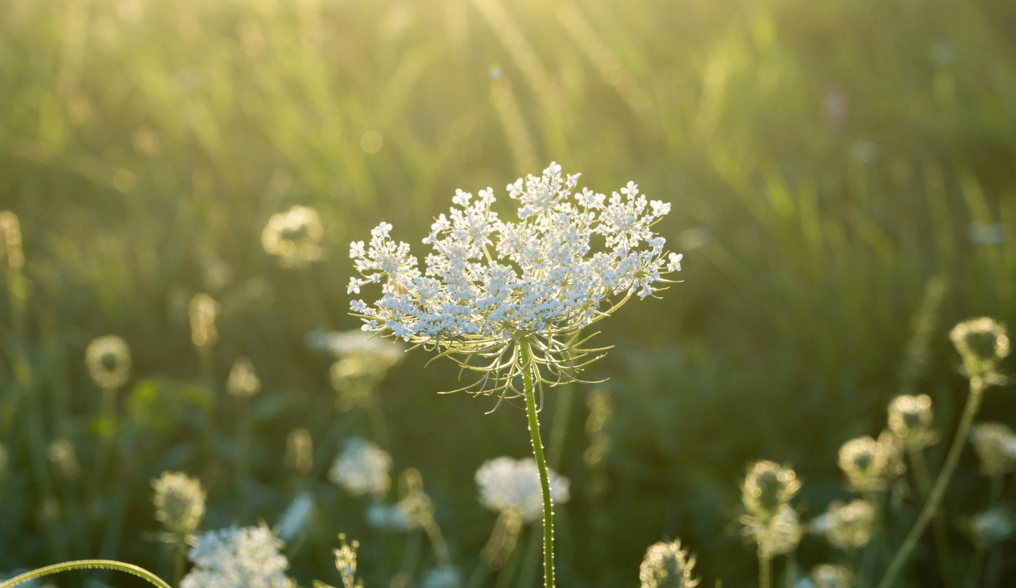 The Return of Respect, Reverence, and Ritual