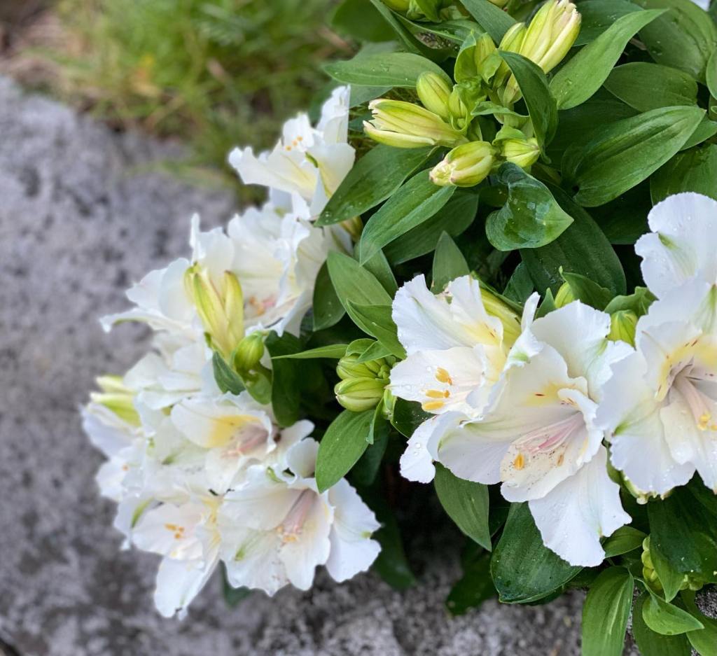 Shaping New Timelines and Versions of Yourself #Part&nbsp;One