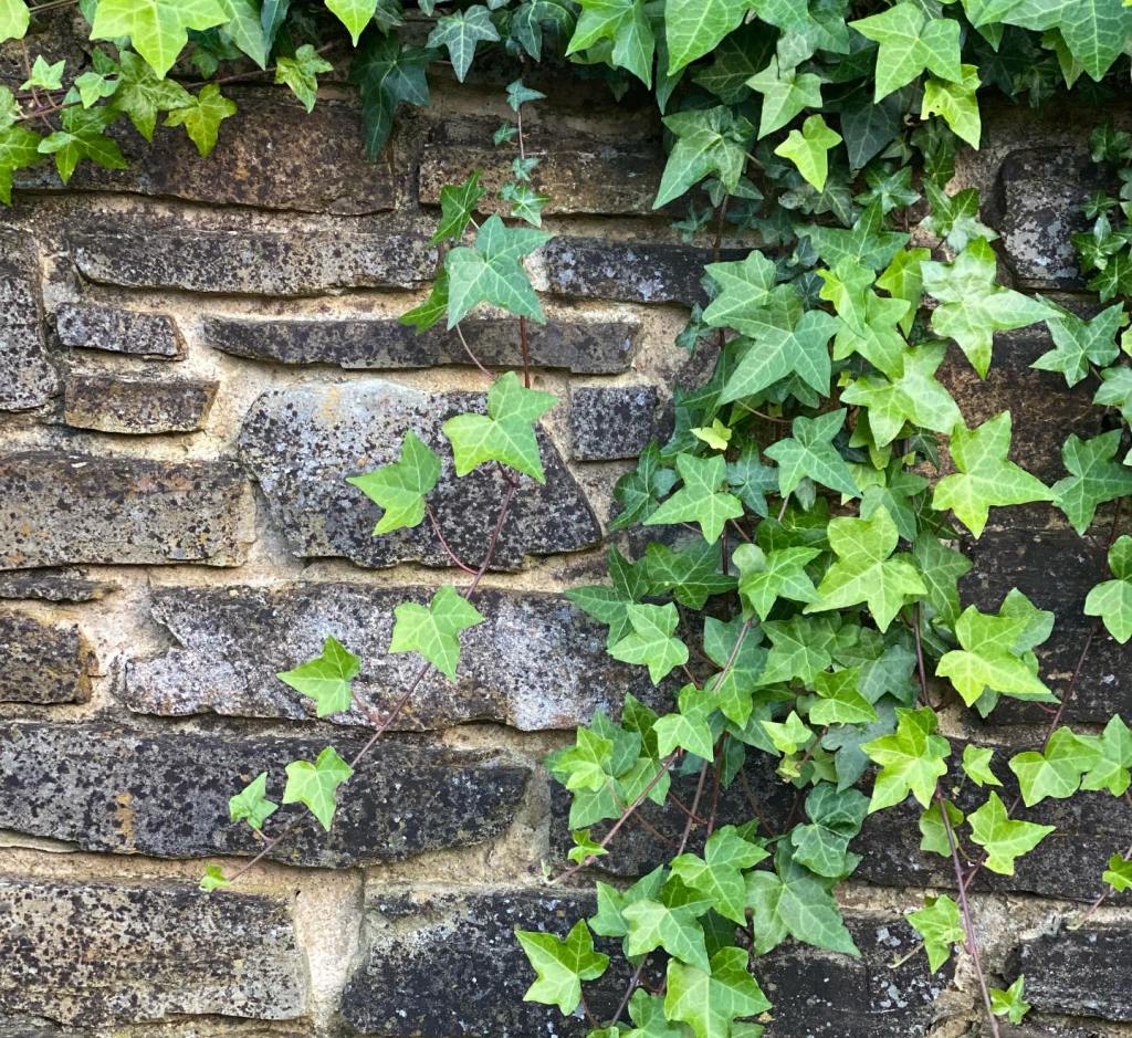 Shaping New Timelines and Versions of Yourself #Part Two