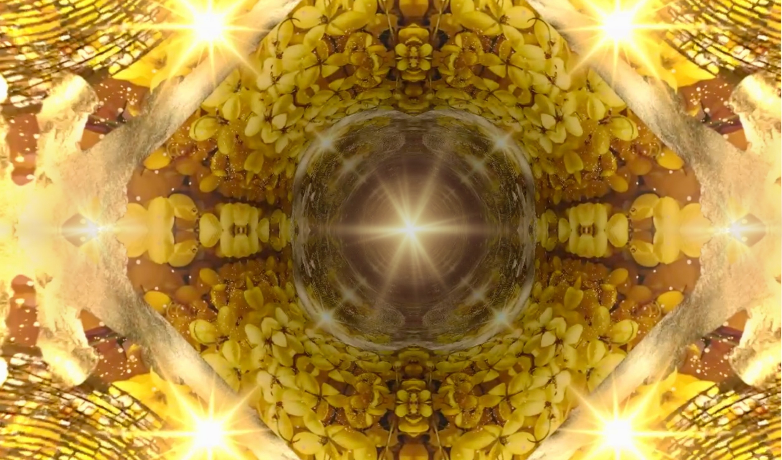 Integrity for the purpose of co-creating Resurrection