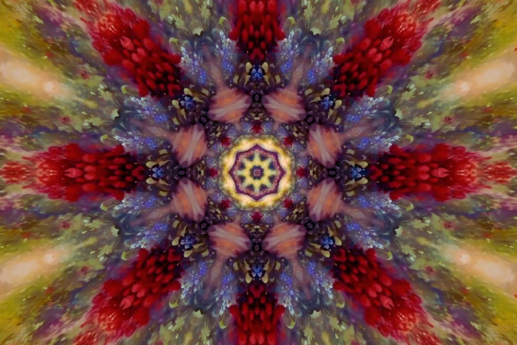 In Strange and Unfamiliar Times, We Must Remember Who We&nbsp;Are