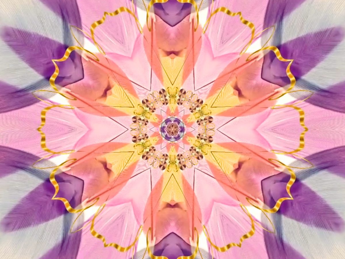 Boundaries Are Attributes