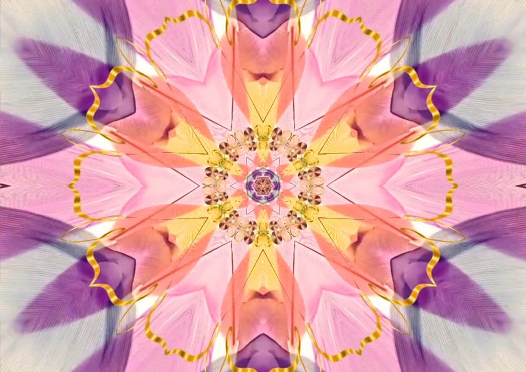 Boundaries Are Attributes