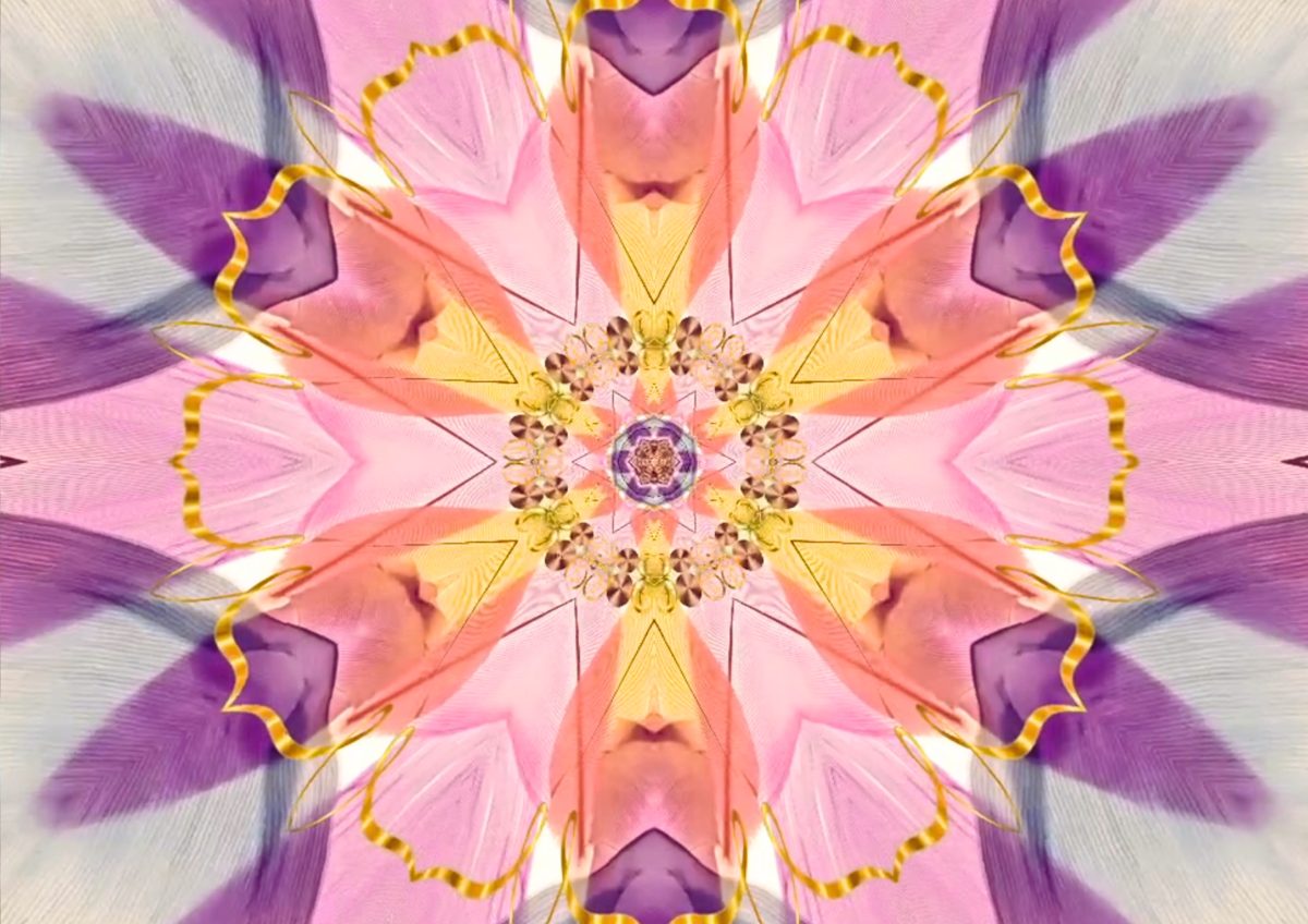 Boundaries Are Attributes