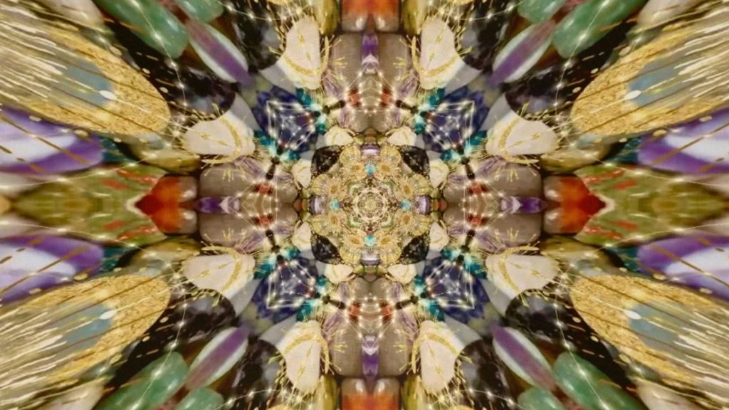 Seed of the&nbsp;Soul