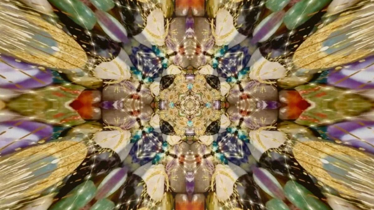 Seed of the&nbsp;Soul