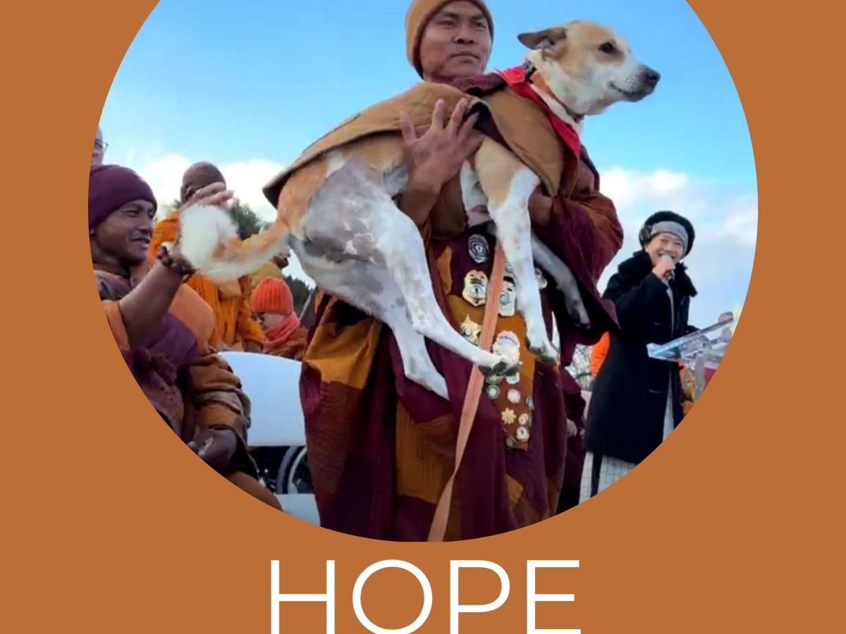 Enlightenment Is Not Something to&nbsp;Attain